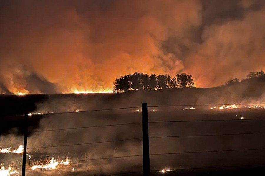 Corrientes lleva casi 1 millón de hectáreas consumidas por fuego