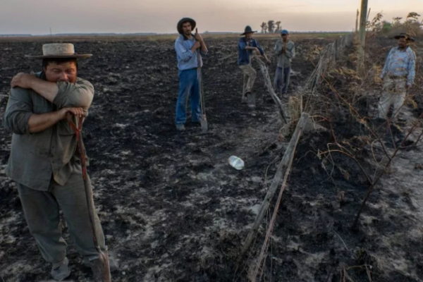 AFIP dispuso prórrogas y otras medidas de alivio fiscal para los afectados por incendios