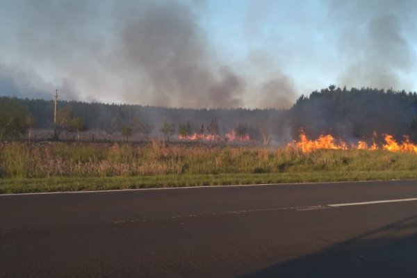 Corrientes: Las lluvias aliviaron pero no alcanzaron para sofocar incendios