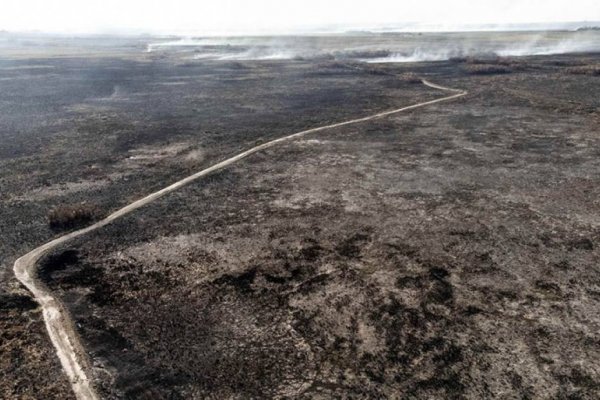 Nación declaró por seis meses el estado de emergencia y de desastre agropecuario en Corrientes