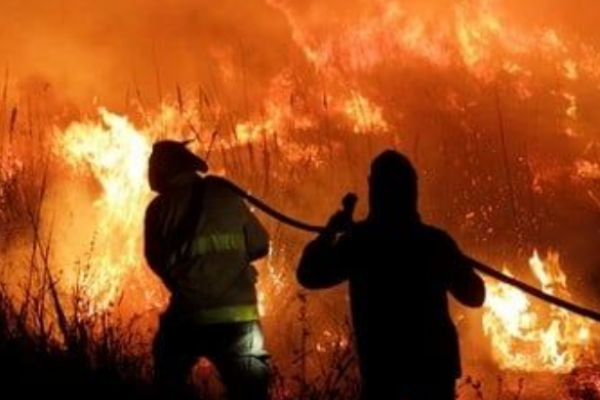 Alonso: A los concejales quiero pedirles que vean la factibilidad de reconocer a Bomberos Voluntarios