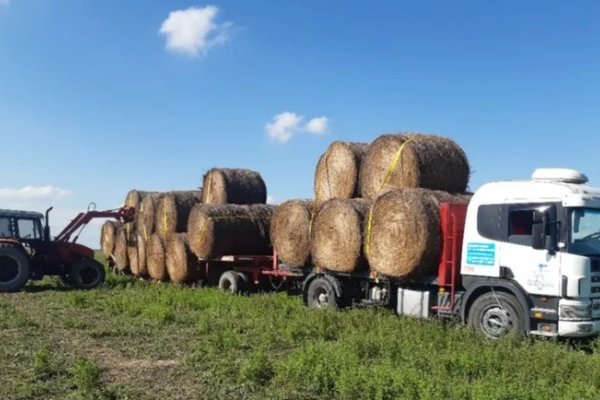 Mil toneladas de forraje esperan en las rutas de Corrientes