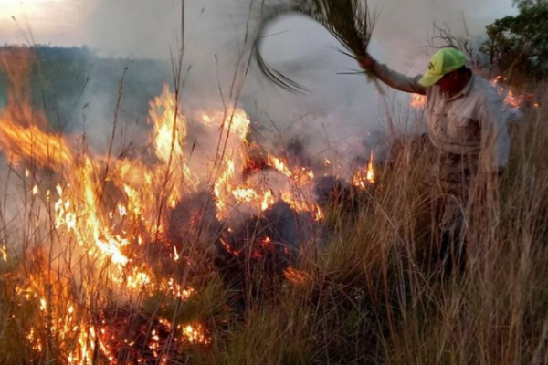 Se registró un incendio de gran magnitud en forestaciones de eucaliptos