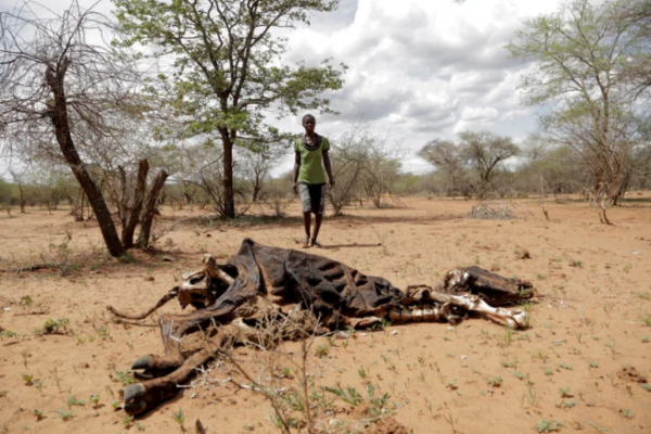 Crisis climática: medio planeta vive en riesgo y algunas zonas serán inhabitables