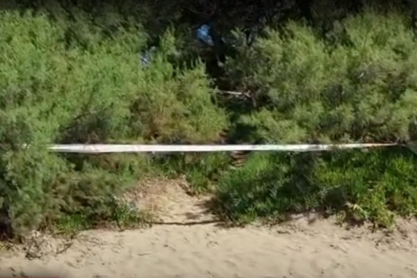 Turista halló un cráneo humano en un médano