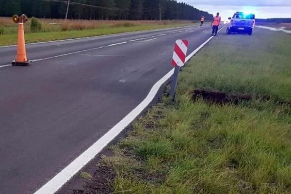 Ruta 12: Un auto perdió el control y volcó