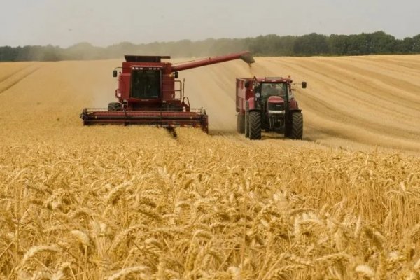 La sequía generó el cultivo de soja y maíz más bajo en 15 años y afectará el ingreso de dólares