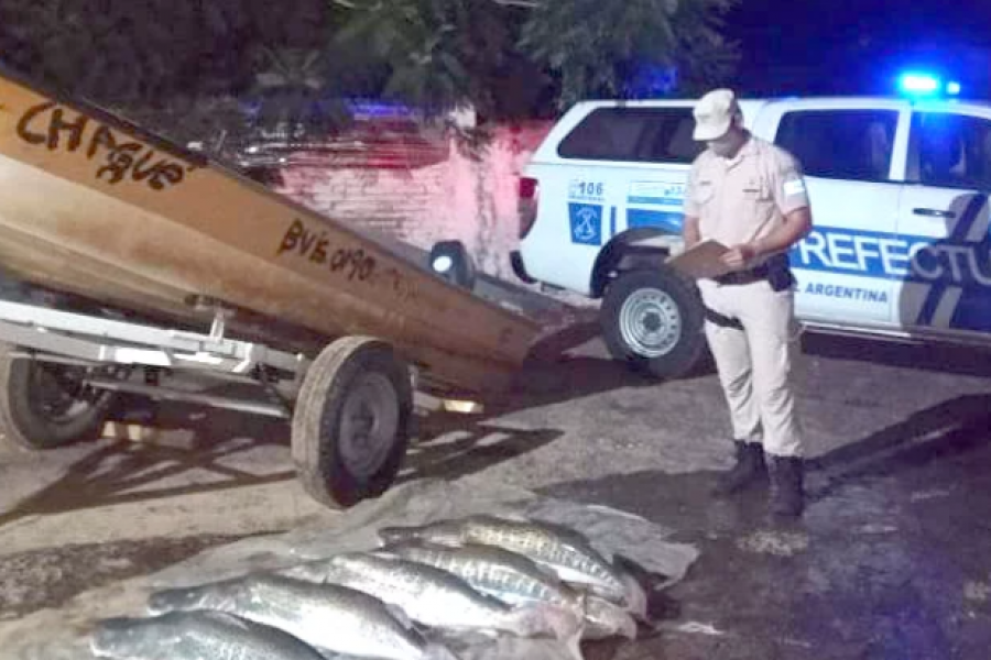 Interceptaron una lancha en el río con 150 kilos de pescado