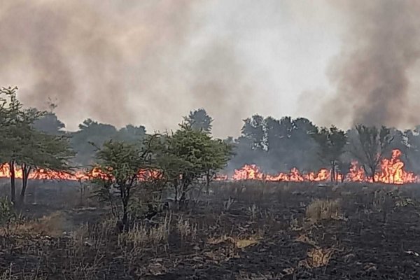 Se requiere esperar para definir estrategias de restauración ecológica