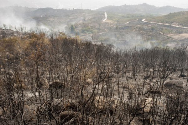 VIDEO | ¿Qué se llevaron los incendios de Corrientes?