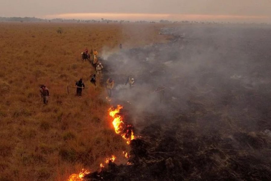 Corrientes: Sospechan que 25 incendios serían intencionales y las penas podrían ir hasta los 10 años