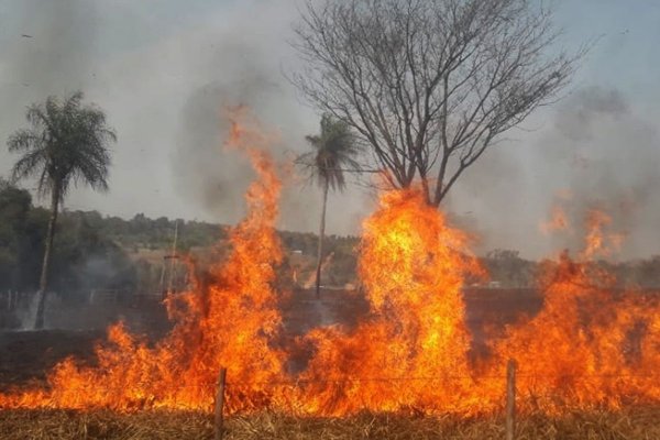 Hay alerta por algunos focos activos en zonas aledañas a San Luis del Palmar