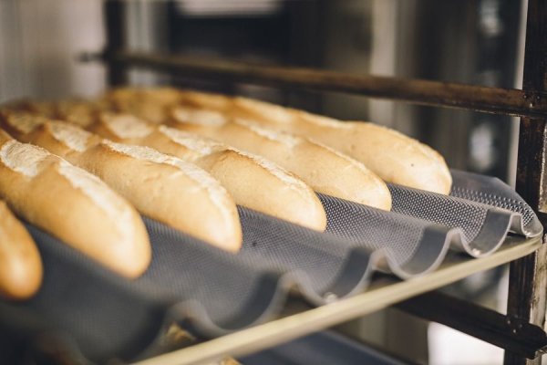 El kilo de pan podría costar entre 250 y 300 pesos