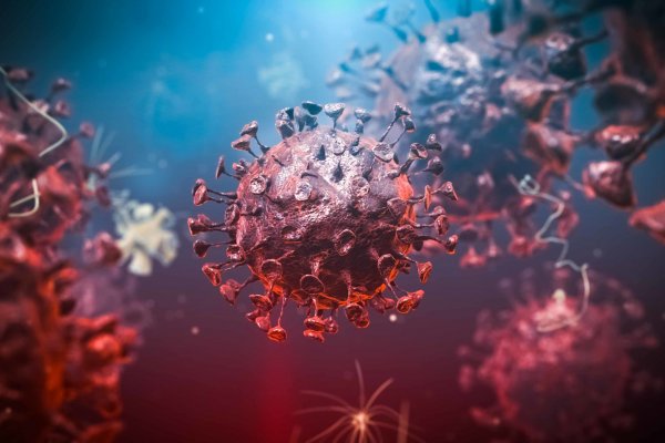 Corrientes registró 6 casos nuevos de  Coronavirus en las últimas 24 horas