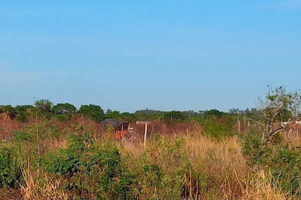 Desactivaron un nuevo intento de toma de terrenos