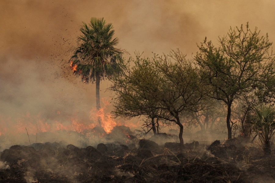 Incendios en Argentina: Corrientes se encuentra entre las provincias con focos activos