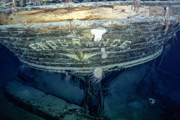 Encontraron el barco Endurance, del famoso explorador Ernest Shackleton