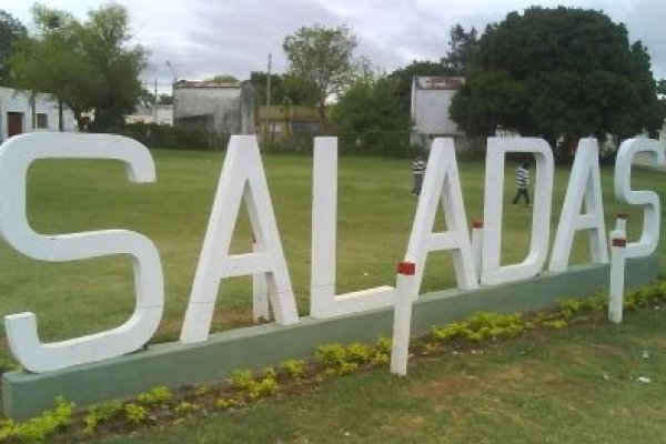 Una quema de residuos forestales amenazó a todo un barrio de Saladas