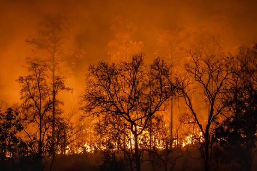 Sudamérica registra una intensidad récord de incendios en lo que va de año