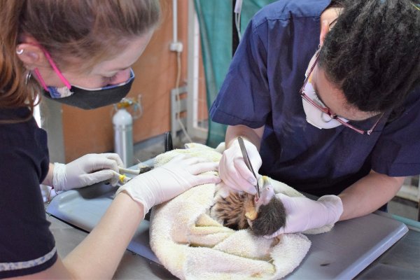 Más entidades del país se suman a la acción solidaria de ayuda al Centro Aguará