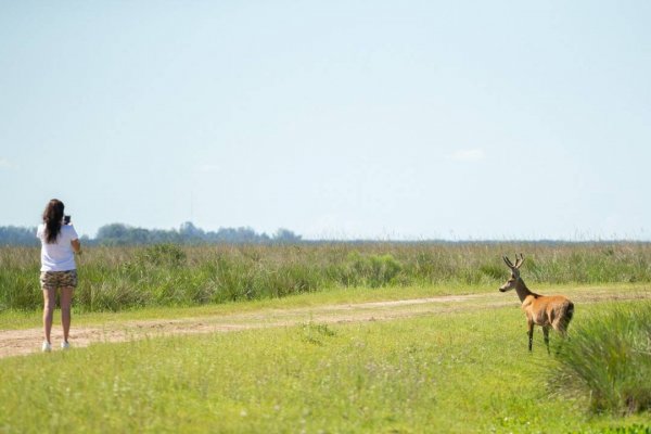 Reabrieron portales del Iberá y ya tienen reservas para Semana Santa y vacaciones