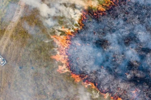 Alerta: por qué los incendios en Corrientes abren la puerta a una crisis sanitaria aún impredecible