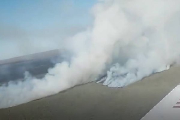Nuevos incendios arrasan con campos en Corrientes