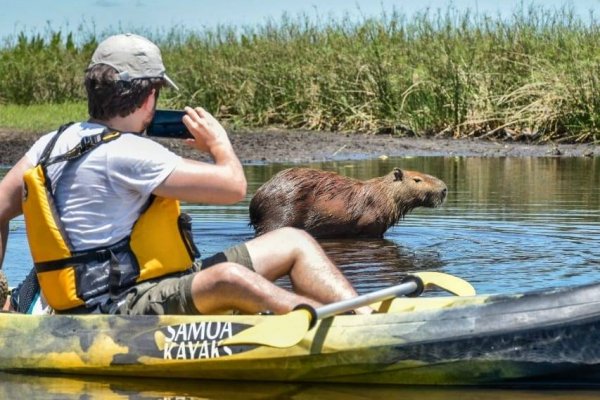 Se reactivan los paseos en kayak y recorridos guiados en el parque Iberá