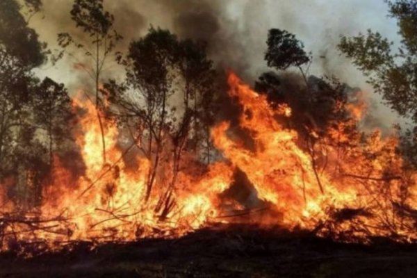 Corrientes: Tres localidades afectadas por incendios en un día