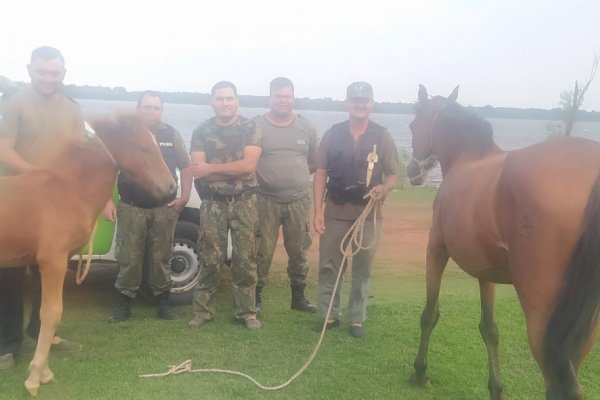 Recuperaron una yegua y su potrillo que fueran denunciados como robados