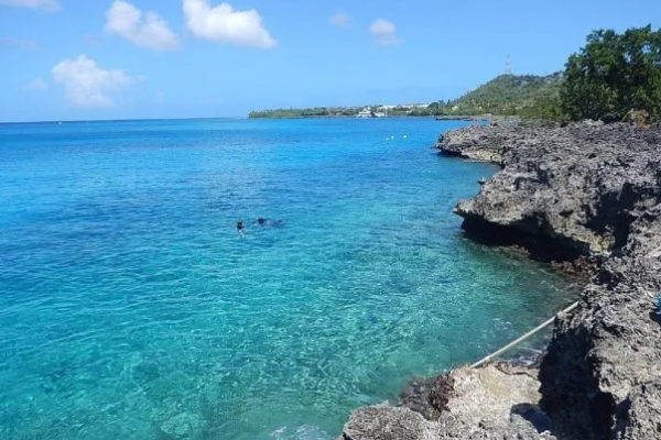 Un turista murió atacado por un tiburón