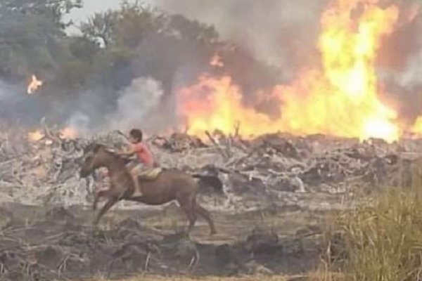 Corrientes: Proponen por Ley que niños y niñas prometan cuidado del ambiente