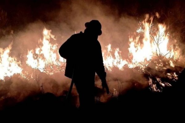Corrientes: El Gobierno no revela el monto total de las pérdidas por los incendios
