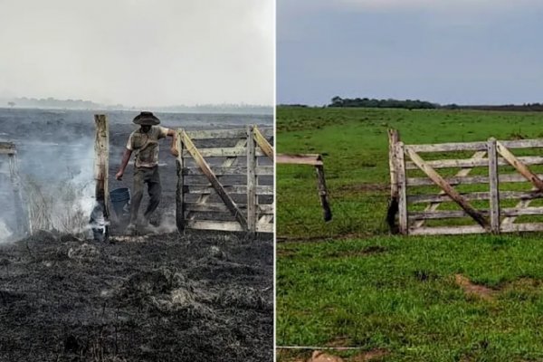 Volvió el verde a Corrientes, pero se perdieron 10.000 kilómetros de alambrado