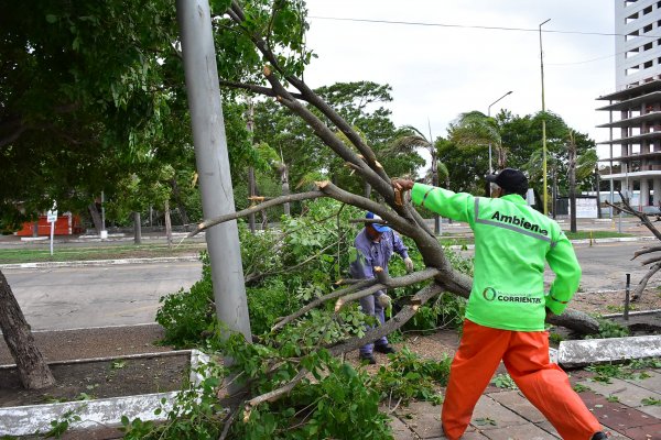 Tras la tormenta realizan trabajos de limpieza en diferentes puntos de la Ciudad