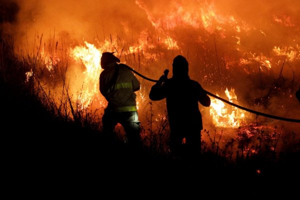 Incendios en Corrientes: las pérdidas de las principales producciones superaron los $80.000 millones