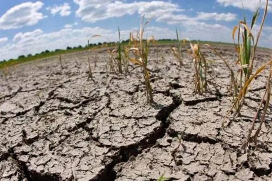 Sequía en Corrientes: El frío afectaría a la recuperación del pasto