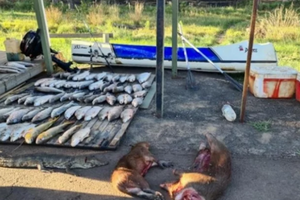 En Ituzaingó y Yahapé decomisaron armas y animales silvestres faenados