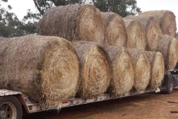 Productores Benito Juárez  enviaron rollos de pasto a Corrientes