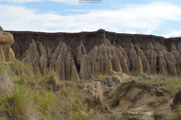 Bella Vista proyecta el turismo científico paleontológico a partir un producto único