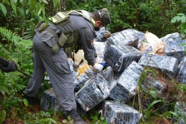 Hallan más de tres toneladas de marihuana escondida entre la maleza del monte en Misiones
