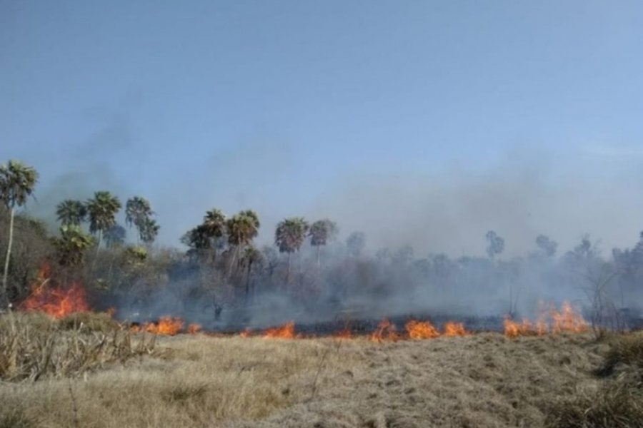 Aplican fuertes multas a quienes provocan incendios en Corrientes