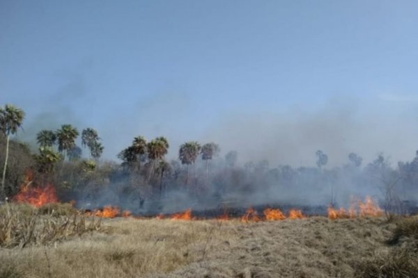 La UNNE subsidiará 16 proyectos que estudiarán impactos de la sequía e incendios