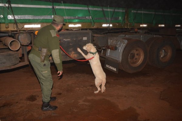 Incautan más de cuatro toneladas de marihuana y detienen a tres personas