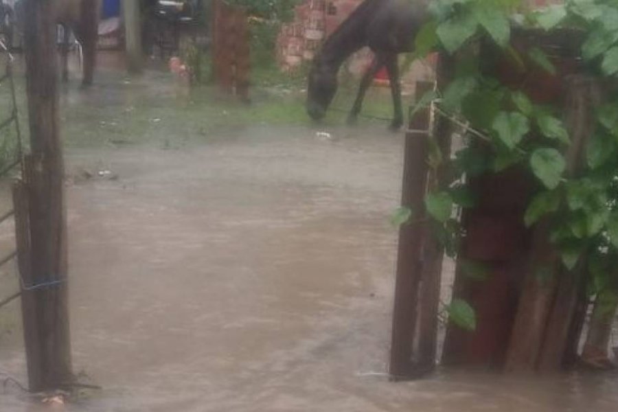 Mal tiempo: Viviendas inundadas en algunos sectores de la Ciudad