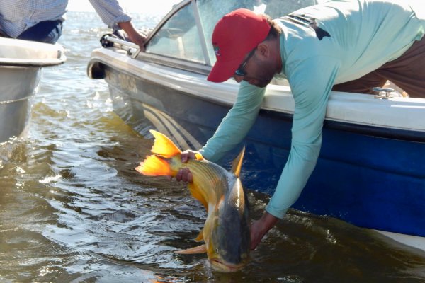 Paso de la Patria vivió su Torneo Apertura de Pesca Nacional del Dorado