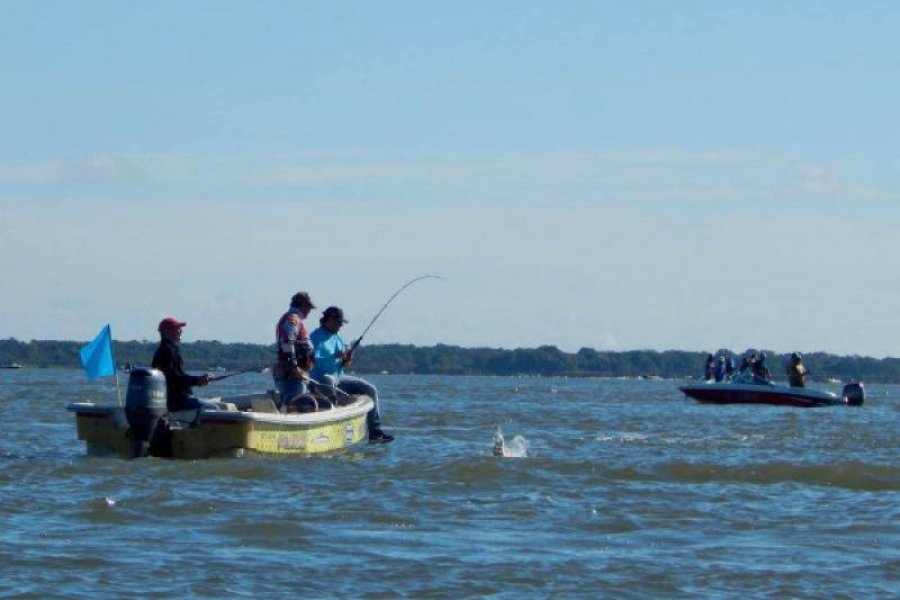 Pesca del Dorado: Hubo récord de capturas para el Torneo Apertura