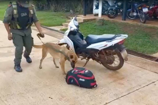 Misiones: Incautan más de 75 kilos de marihuana y detienen a dos ciudadanos