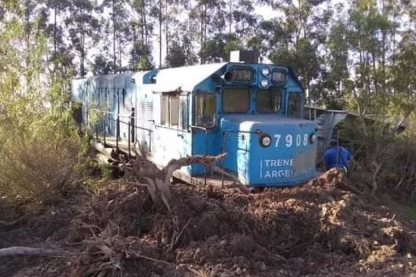 Despejaron la vía tras el descarrilamiento del tren de cargas en Corrientes