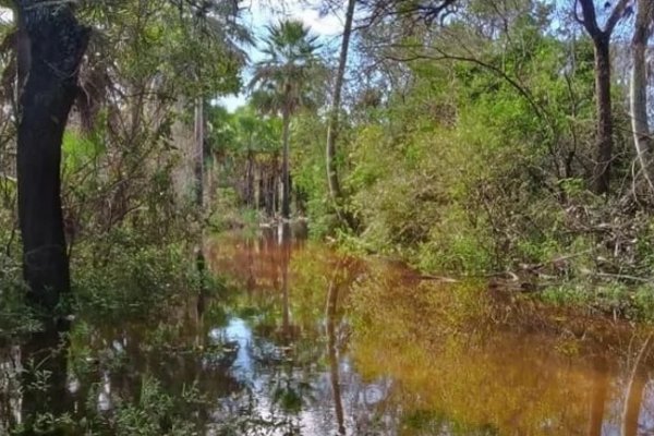 Por las lluvias, cerró el Parque San Cayetano y hay animales muertos en zonas rurales